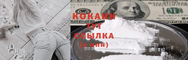 дживик Козельск