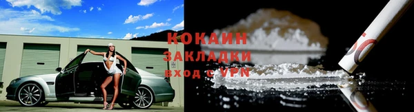 дживик Козельск