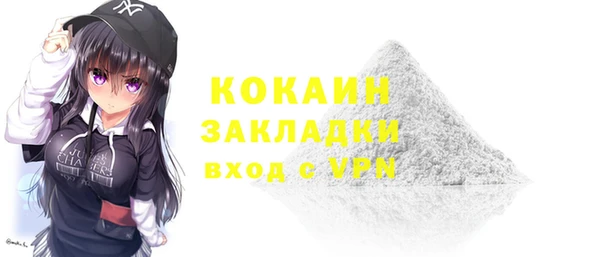 дживик Козельск