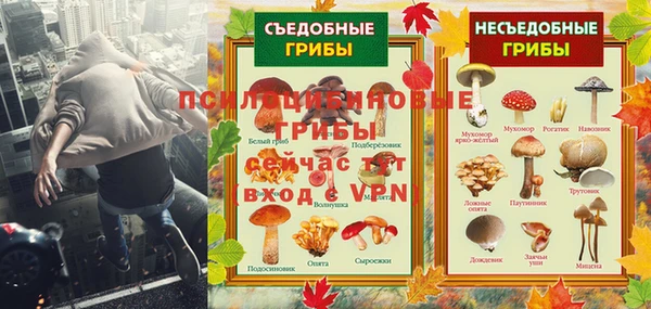 дживик Козельск