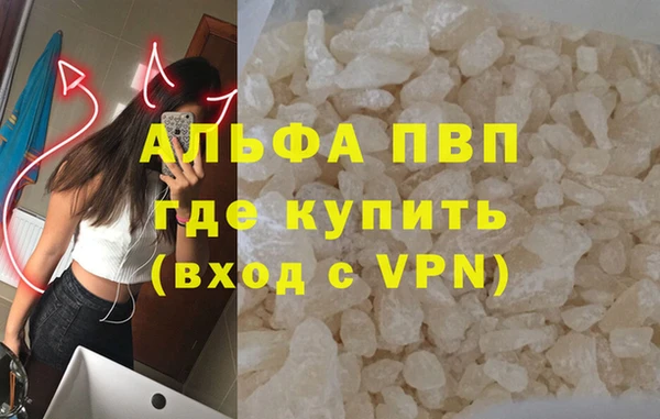 дживик Козельск