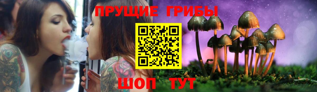 продажа наркотиков  Псилоцибиновые грибы прущие грибы  Вход с VPN  Новочеркасск 